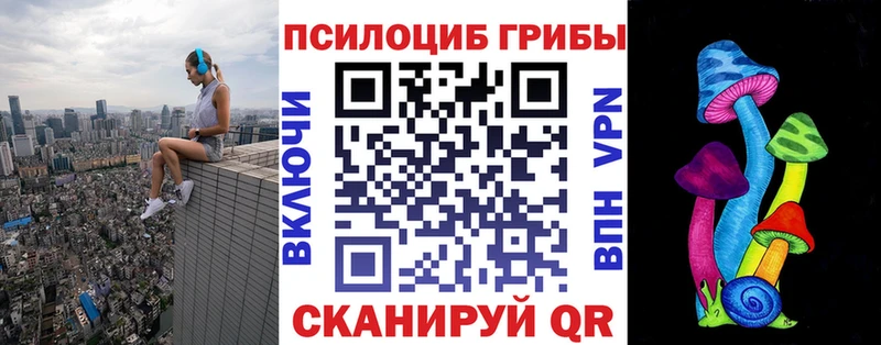 закладки  Лабинск  Псилоцибиновые грибы Psilocybine cubensis 