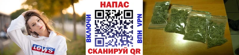 Бошки марихуана семена  площадка телеграм  Лабинск 